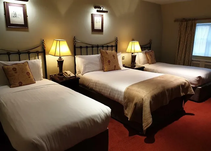 Hotel The Arms